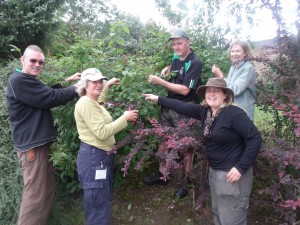 Broomfield Volunteers